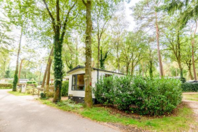 Veluwe Chalet aan het bos - Kids - Pool - Dog